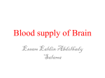 18 braim blood sup 124 Presentation