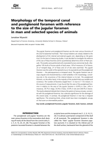 Morphology of the temporal canal and postglenoid foramen with