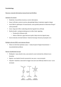 Psychobiology Neurons= transmit information, human brain has 86