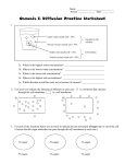 Diffusion, Osmosis, and Active Transport