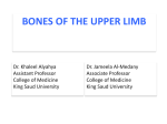 Bones of upper limb