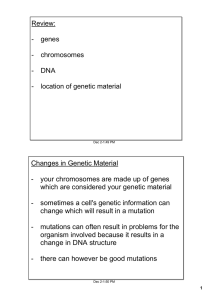 Changes in Genetic Material your chromosomes are made up of