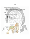 AXILLA LEARNING OBJECTIVES • Know the position, shape of