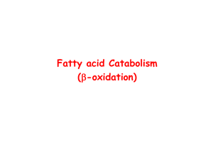 b-oxidation - mustafaaltinisik.org.uk