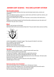 Circulatory System