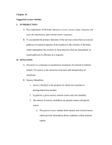 ch 16 sensory motor systems