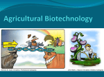 Agriculture Biotechnology