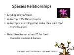 Species Relationships