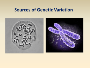 Sources of Genetic Variation