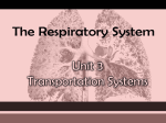 The RESPIRATORY System