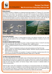 Ramsar Fact Sheet I Mai Po and Inner Deep Bay Ramsar Site