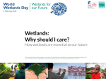 World Wetlands Day