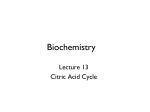 PPTX - Bonham Chemistry