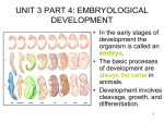 Unit 3 part 4 PPT