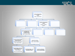 UCL Division of Population Health