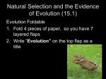 Natural Selection and the Evidence of Evolution