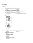 Chapter 7 Section 2: Cell organelles Quiz: For 3 extra credit points