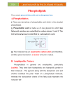 Lipids lecture(4) by Prof.Dr.Moaed Al