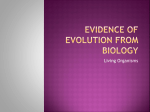 Indirect Evidence of Evolution