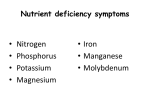 Nutrient Deficiencies