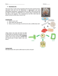 Specialized Cells Notes