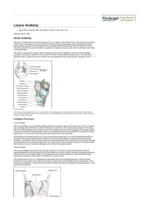 Laryngeal Anatomy Medscape 2015