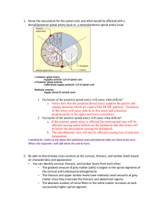 Contralateral side