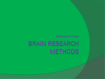 Brain research methods