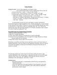 Air Mass Classifications