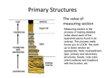 Chapter 2 c Primary Structures e