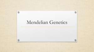 Mendelian Genetics