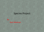 Species Project.zach