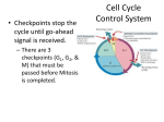 Cell Cycle Control System