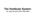 Vestibular