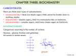 essential fatty acid