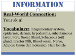 Function of Skin - Moore Public Schools