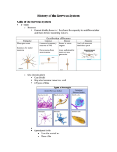 History of the Nervous System Cells of the Nervous System