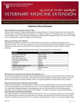 Infectious Bursal Disease - Washington State University