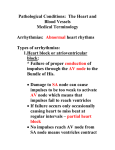 Pathological Conditions: The Heart and Blood Vessels