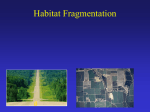 Habitat Fragmentation