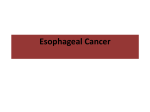 Esophageal Cancer