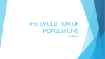 the evolution of populations