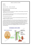 anatomy_lec6_27_2_2011 - Post-it