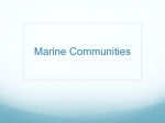 Marine Communities