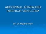 4.Abdominal Aorta and IVC