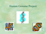 Human Genome Project