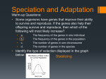 Adaptation and Speciation