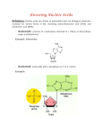 Knowing Nucleic Acids - UCLA Chemistry and Biochemistry