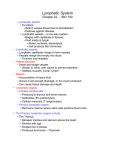 Lymphatic System