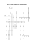 Plate Tectonic/Rock Cycle Crossward Puzzle